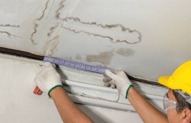 Reliable Mold Remediation contractor in Norwell, MA by Water Damage Irwin